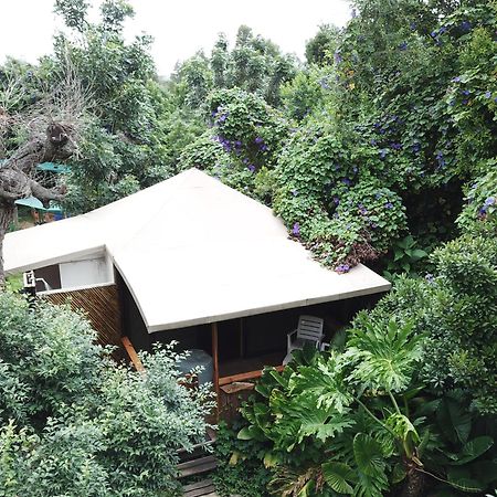 Mali Boutique Lodge & Tube 'N Axe Budget Accommodation Stormsrivier Phòng bức ảnh
