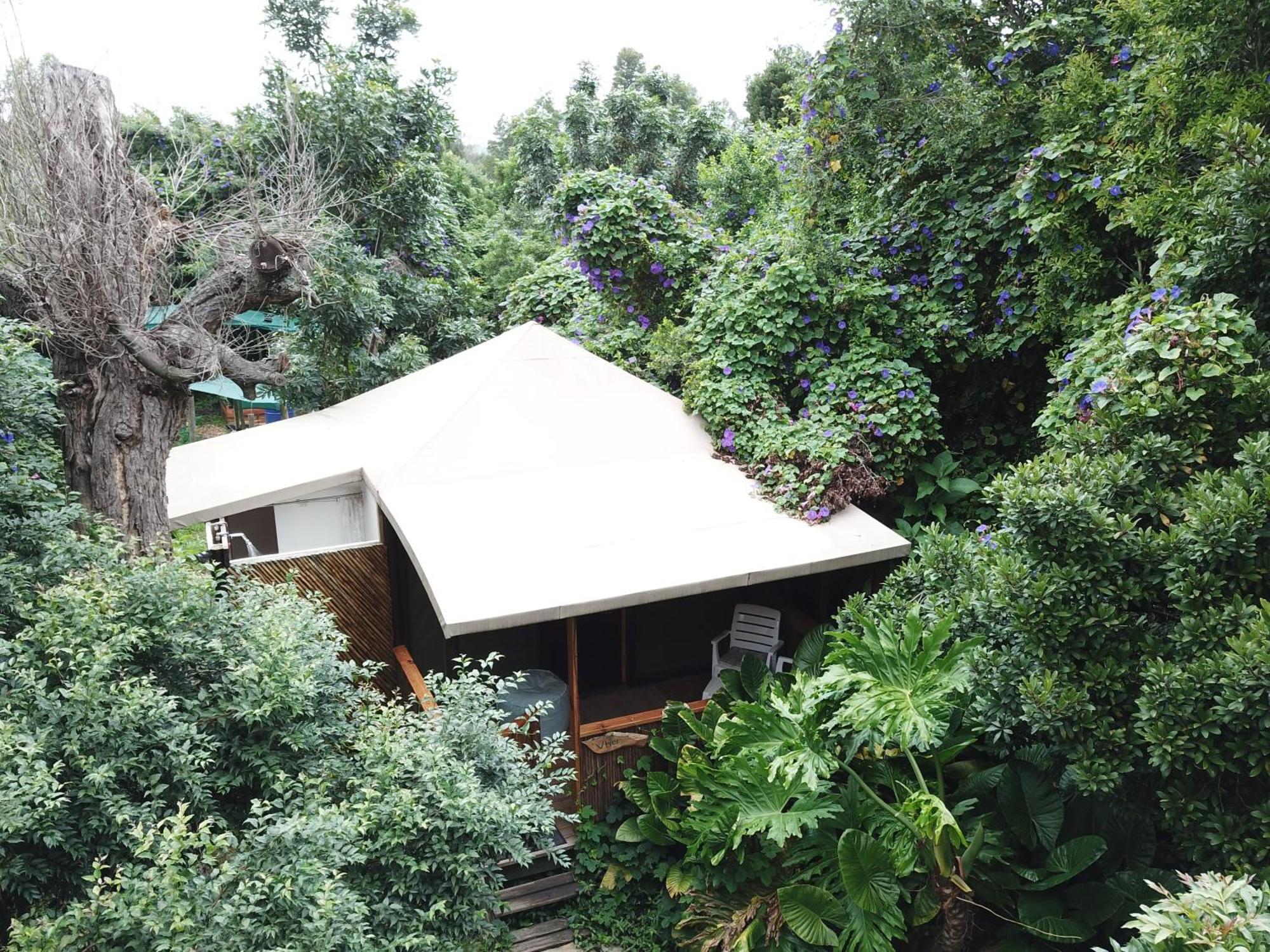 Mali Boutique Lodge & Tube 'N Axe Budget Accommodation Stormsrivier Phòng bức ảnh