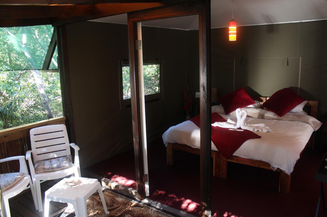 Mali Boutique Lodge & Tube 'N Axe Budget Accommodation Stormsrivier Ngoại thất bức ảnh