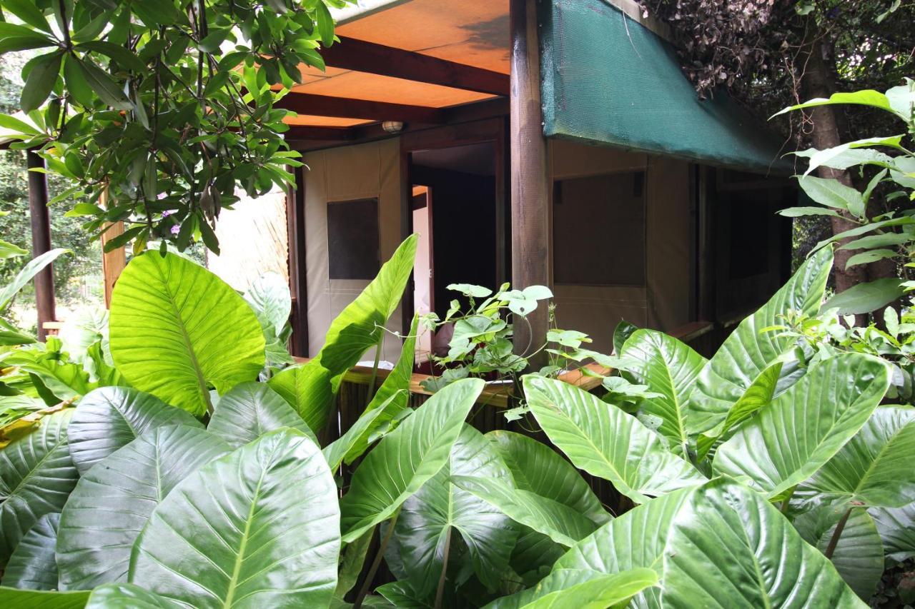 Mali Boutique Lodge & Tube 'N Axe Budget Accommodation Stormsrivier Ngoại thất bức ảnh